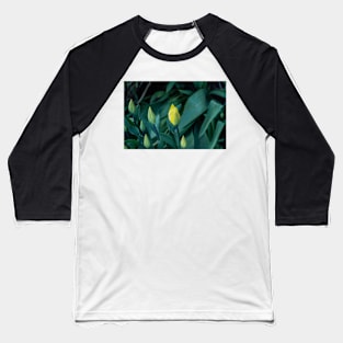 Tulips waiting Baseball T-Shirt